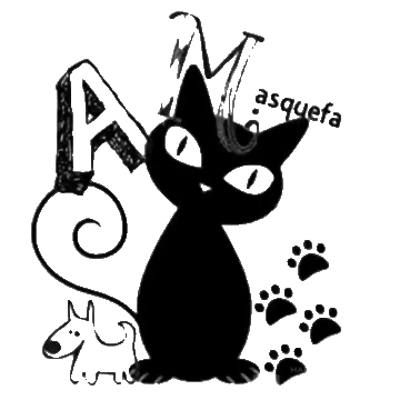 Gato Masquefa